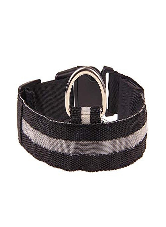 Futaba Nylon Pet Glow in Dark LED Collar Night Safety - Black -Small - Image 1